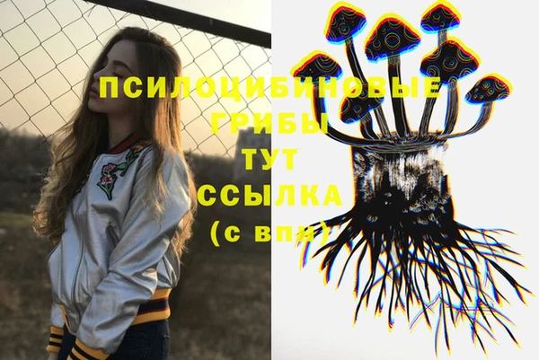 эйфоретик Бородино