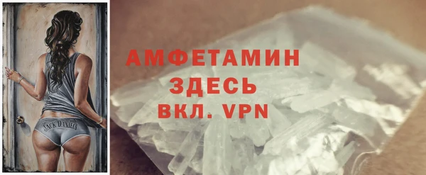 ECSTASY Богданович