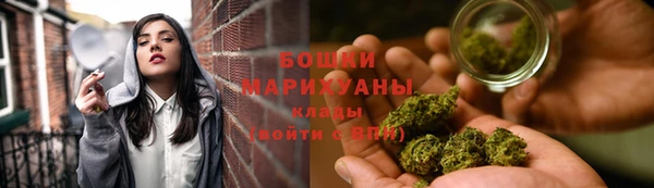 эйфоретик Бородино