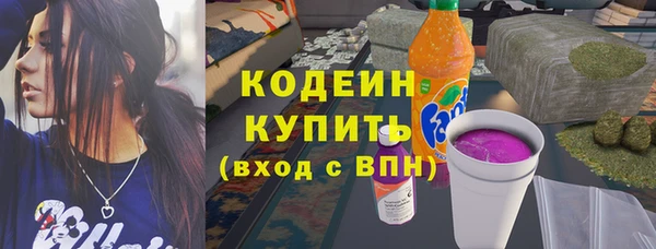 эйфоретик Бородино