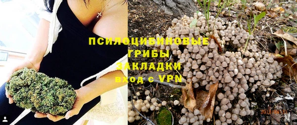 ALPHA-PVP Бугульма